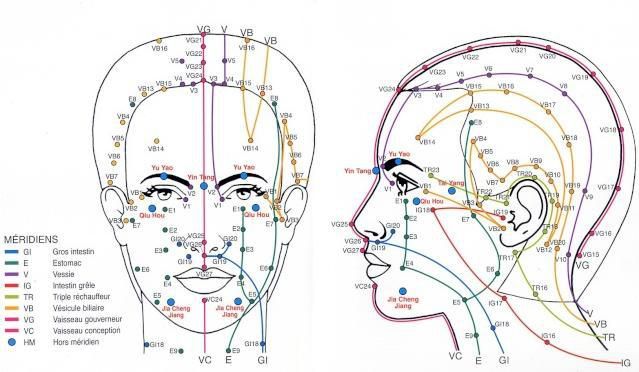 Schema acupuncture